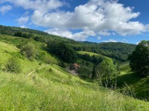Ferme De La Prairie D Hergauchamps mit Sauna und Whirlpool Sainte-Marie-Aux-Mines